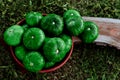 Closeup of vibrant green zapallito (Cucurbita maxima) pumpkins in a bowl