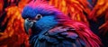 A closeup of a vibrant parrot with red and blue feathers