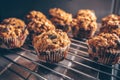 Closeup view of baking cupcakes Royalty Free Stock Photo