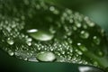 Closeup view of beautiful green leaf with dew drops Royalty Free Stock Photo