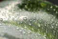 Closeup view of beautiful green leaf with dew drops as background Royalty Free Stock Photo