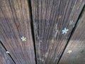 Closeup view of beautiful white flowers on the wood pathway