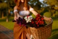 Closeup view on bicycle basket with flower blossom