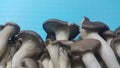 Closeup view of big pile of fresh harvested mushrooms Royalty Free Stock Photo