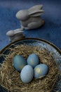 Closeup view of blue colored eggs on a plate decorated like a nest for the Easter celebration Royalty Free Stock Photo