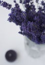 Bouquet of lavender flowers Royalty Free Stock Photo