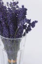 Bouquet of lavender flowers in a glass Royalty Free Stock Photo