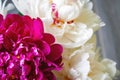 Closeup view of a bouquet of lush white and pink peonies. Beautiful delicate flowers as a gift for the holiday. Top view