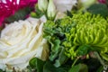 Closeup view of a bouquet with white roses, pink alpine aster, and green spider mum flowers Royalty Free Stock Photo