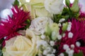 Closeup view of a bouquet with white roses, pink alpine aster, and green spider mum flowers Royalty Free Stock Photo