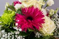 Closeup view of a bouquet with white roses, pink alpine aster, and green spider mum flowers Royalty Free Stock Photo