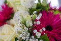 Closeup view of a bouquet with white roses, pink alpine aster, and green spider mum flowers Royalty Free Stock Photo