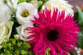 Closeup view of a bouquet with white roses, pink alpine aster, and green spider mum flowers Royalty Free Stock Photo