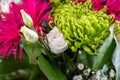 Closeup view of a bouquet with white roses, pink alpine aster, and green spider mum flowers Royalty Free Stock Photo