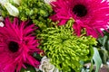 Closeup view of a bouquet with white roses, pink alpine aster, and green spider mum flowers Royalty Free Stock Photo