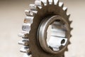 Closeup view on broken teeth on the gear. Mechanical workshop and repair concept