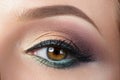 Closeup view of woman eye with evening makeup Royalty Free Stock Photo