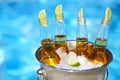 Closeup view of bucket with ice cubes, beer bottles and lime slices Royalty Free Stock Photo