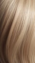 A closeup view of a bunch of shiny straight blond hair