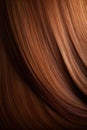 A closeup view of a bunch of shiny straight reddish brown hair
