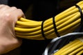 Closeup view of bunch of yellow ethernet cables. Royalty Free Stock Photo