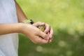 Closeup view of a child holding a delicate baby bird fallen from her nest Royalty Free Stock Photo