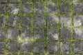 Closeup view on a cobblestone road with green grass background Royalty Free Stock Photo