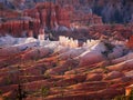 Bryce Canyon Hoodoos Closeup Royalty Free Stock Photo