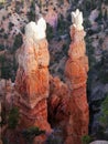 Bryce Canyon Hoodoos Closeup Royalty Free Stock Photo