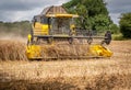 Closeup view of a Combine harvester in Oilseed Rape, heading towards the camera