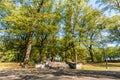 Closeup View of Concrete Stairs in Park in Sunny Autumn Day With Golden Leaves in Trees, Latvia, Europe, Concept of Relaxing Royalty Free Stock Photo