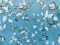 Closeup view of concrete stucco blue seawall with embedded ocean shells shot as an industrial scene Royalty Free Stock Photo