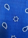 Blue Bandana Closeup Royalty Free Stock Photo