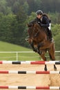 Closeup view of dark haired horsewoman jumping