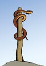 The serpent on the pole. Vector drawing