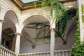 Closeup view of empty white vintage balcony with green lianas in italian yard in Lviv