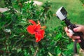 Closeup view of female hand holding white action camera in hand