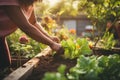 Closeup view of female tending to community garden nurturing plants and flowers. Generative AI