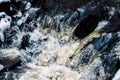 Closeup view of foamy waves of a river flowing down the rocks in daylight in a forest Royalty Free Stock Photo