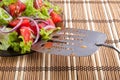 Closeup view on a fragment of a plate with fresh salad of raw to Royalty Free Stock Photo
