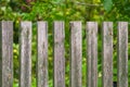 Fragment of a wooden fence a background of garden in bokeh Royalty Free Stock Photo
