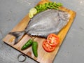 Closeup view of Fresh Black Pomfret Fish decorated with herbs and vegetables Selective focus Royalty Free Stock Photo