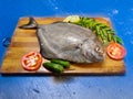 Closeup view of Fresh Black Pomfret Fish decorated with herbs and vegetables Selective focus Royalty Free Stock Photo