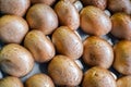 Closeup view on fresh field mushrooms in food store Royalty Free Stock Photo