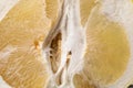 Closeup view of fresh pomelo fruit as background Royalty Free Stock Photo