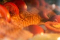 Closeup view fresh raw salmon fillets with herbs and spices on baking tray cooking inside oven Royalty Free Stock Photo