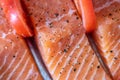 Closeup view fresh raw salmon fillets with herbs and spices on baking tray ready to be cooked in oven Royalty Free Stock Photo