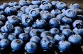Closeup view of fresh blue blueberry fruits. vegan lifestyle concept Royalty Free Stock Photo