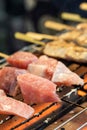 Closeup View Of Fresh Tuna Sticks Are On The Grill Royalty Free Stock Photo