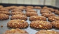 A closeup view of a Freshly made Oats Biscuits in Bakery Tr